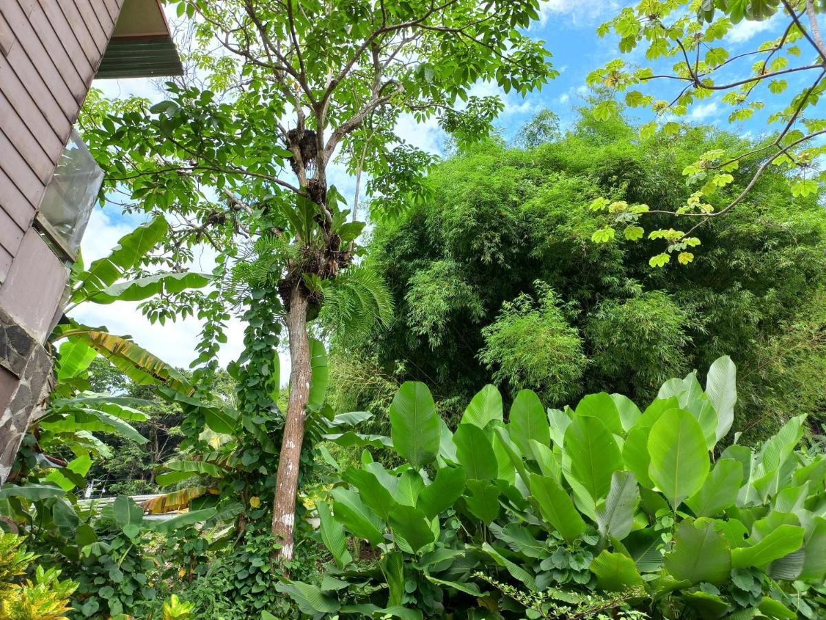 Sunrise House Bed and Breakfast Quepos Buitenkant foto